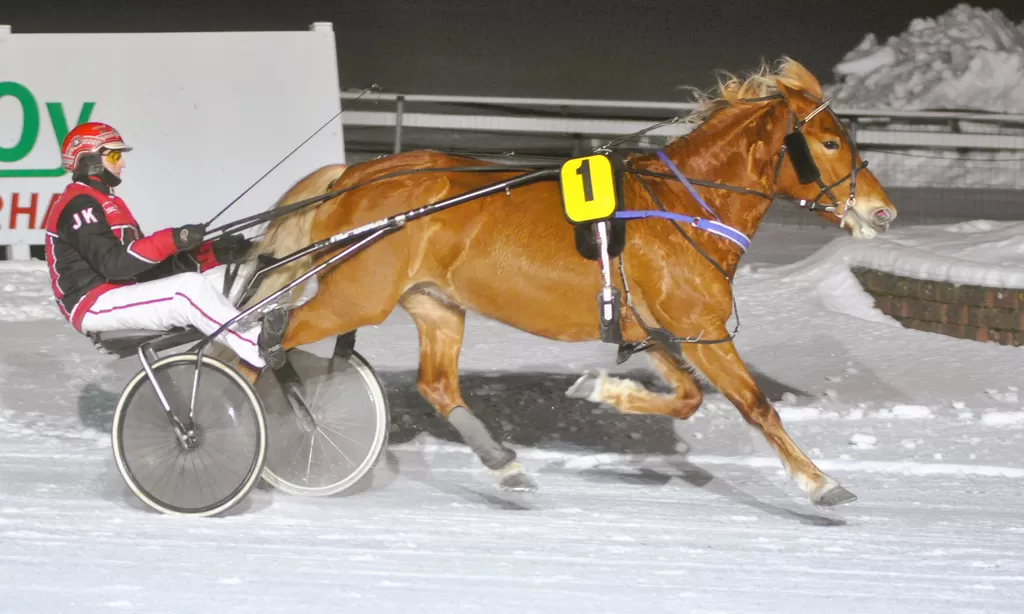 Jere Kiveinen ja Glaudia olivat voittoisa valjakko Turussa.