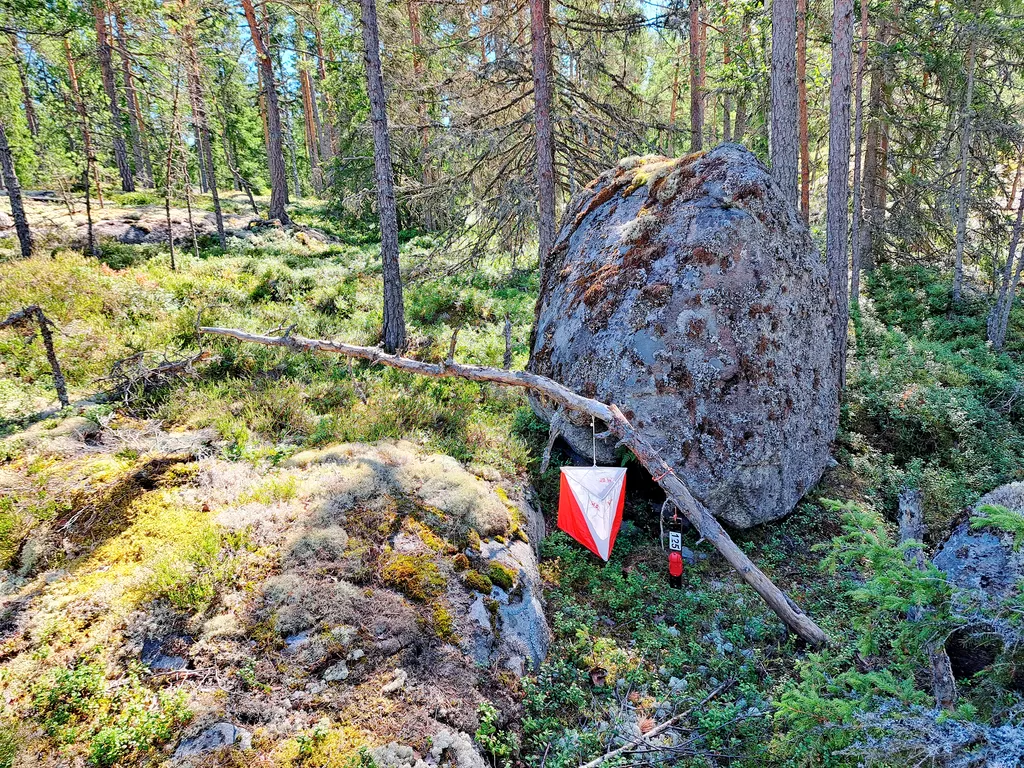 Vakka-kuntorasteja on metsissä huhti-syyskuussa 22 tapahtumassa.