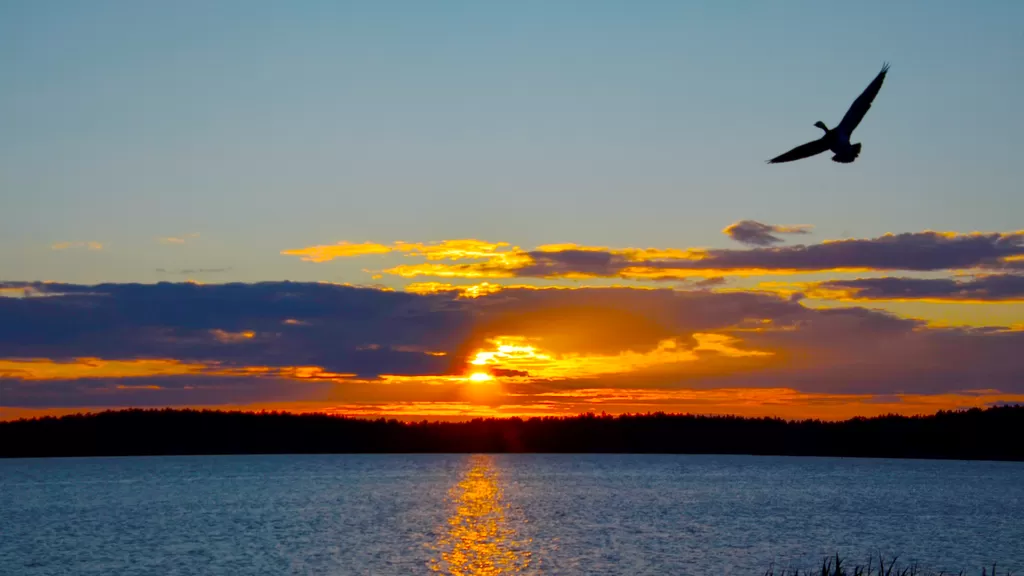 Auringonlasku meren rannalla.